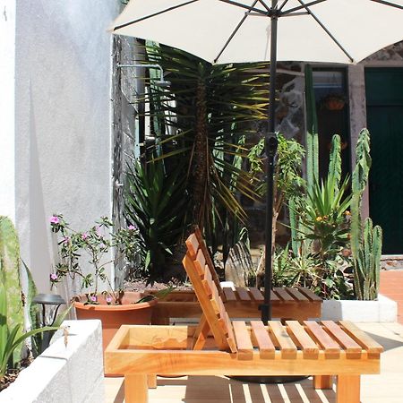 Hostal Pimampiro 푸에르토 바케리조 모레노 외부 사진